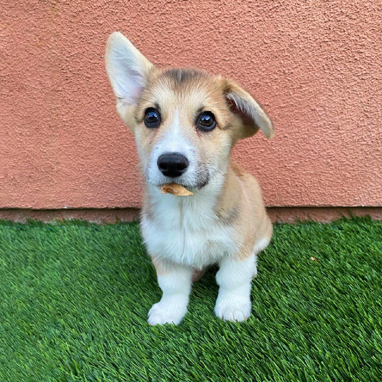 Hudson