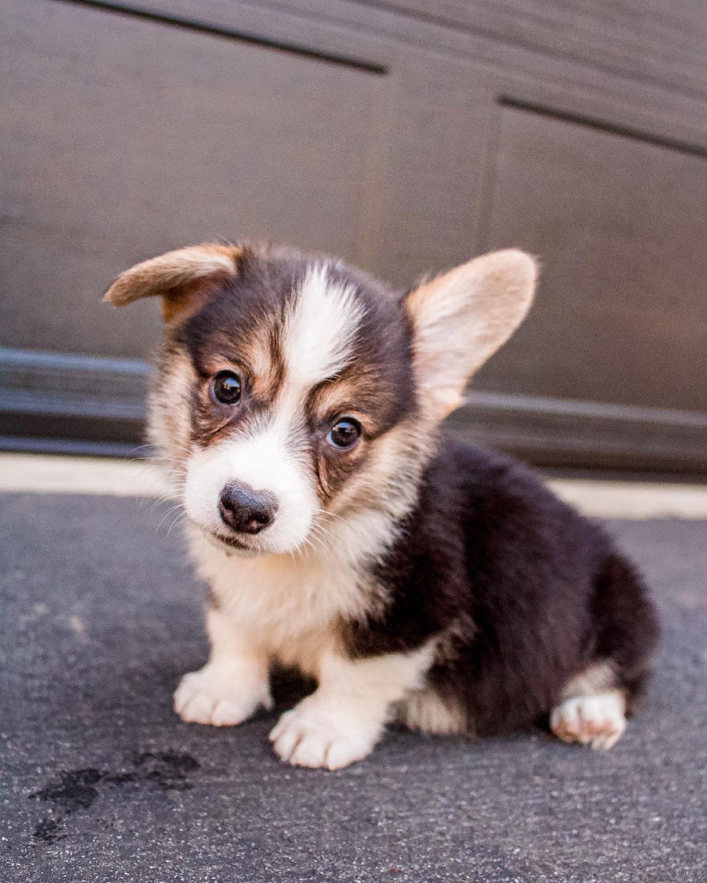 Murphy