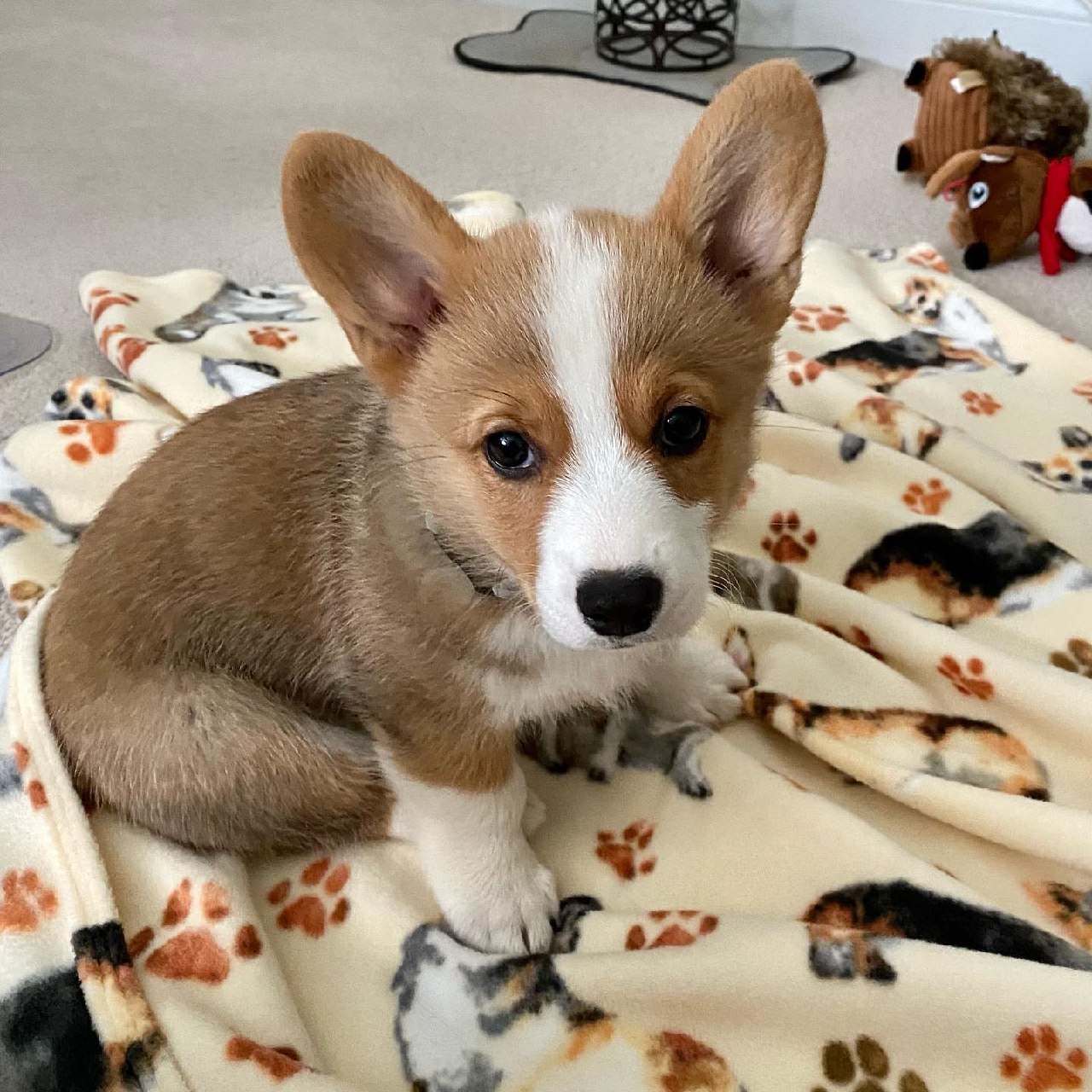 Walter